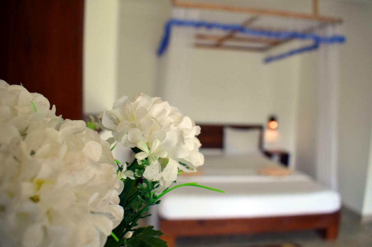 The Chillout Ella Bed & Breakfast Dış mekan fotoğraf